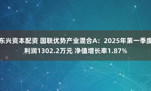 东兴资本配资 国联优势产业混合A：2025年第一季度利润1302.2万元 净值增长率1.87%