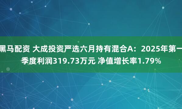 黑马配资 大成投资严选六月持有混合A：2025年第一季度利润319.73万元 净值增长率1.79%