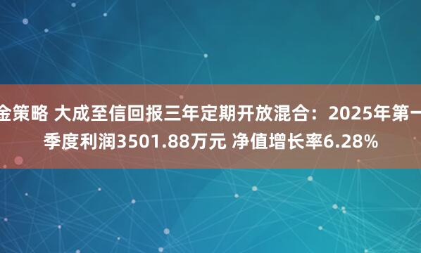 金策略 大成至信回报三年定期开放混合：2025年第一季度利润3501.88万元 净值增长率6.28%