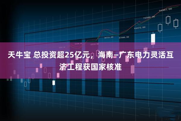 天牛宝 总投资超25亿元，海南—广东电力灵活互济工程获国家核准