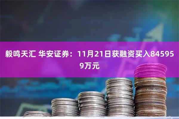毅鸣天汇 华安证券：11月21日获融资买入845959万元
