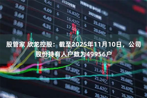 股管家 欣龙控股：截至2025年11月10日，公司股份持有人户数为49956户