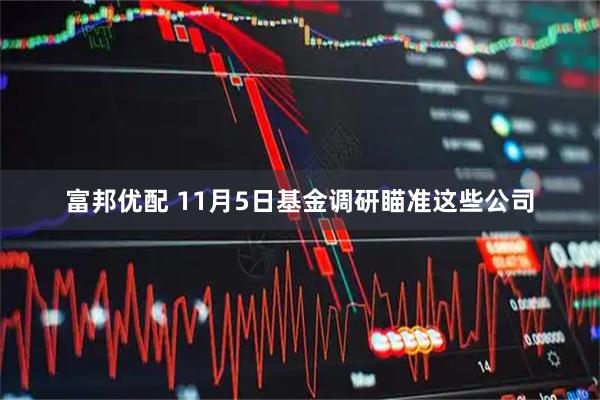 富邦优配 11月5日基金调研瞄准这些公司