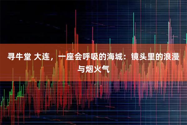 寻牛堂 大连，一座会呼吸的海城：镜头里的浪漫与烟火气
